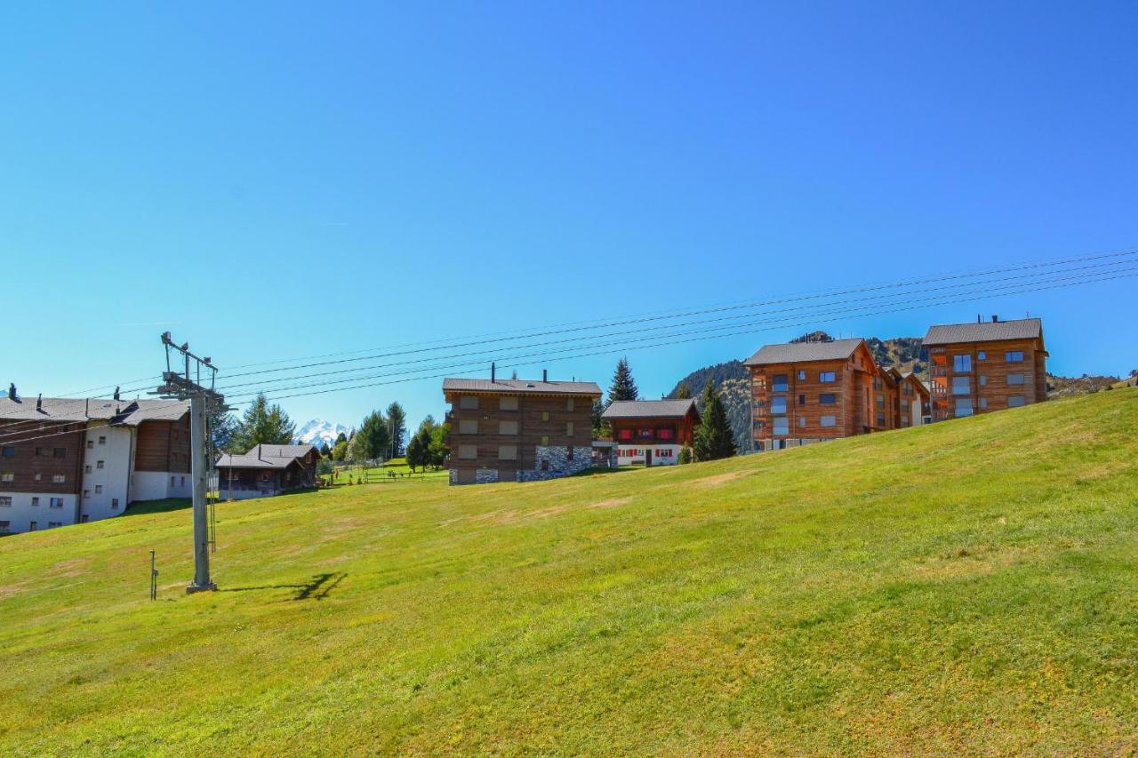Apartament Weisshorn 24 Riederalp Zewnętrze zdjęcie